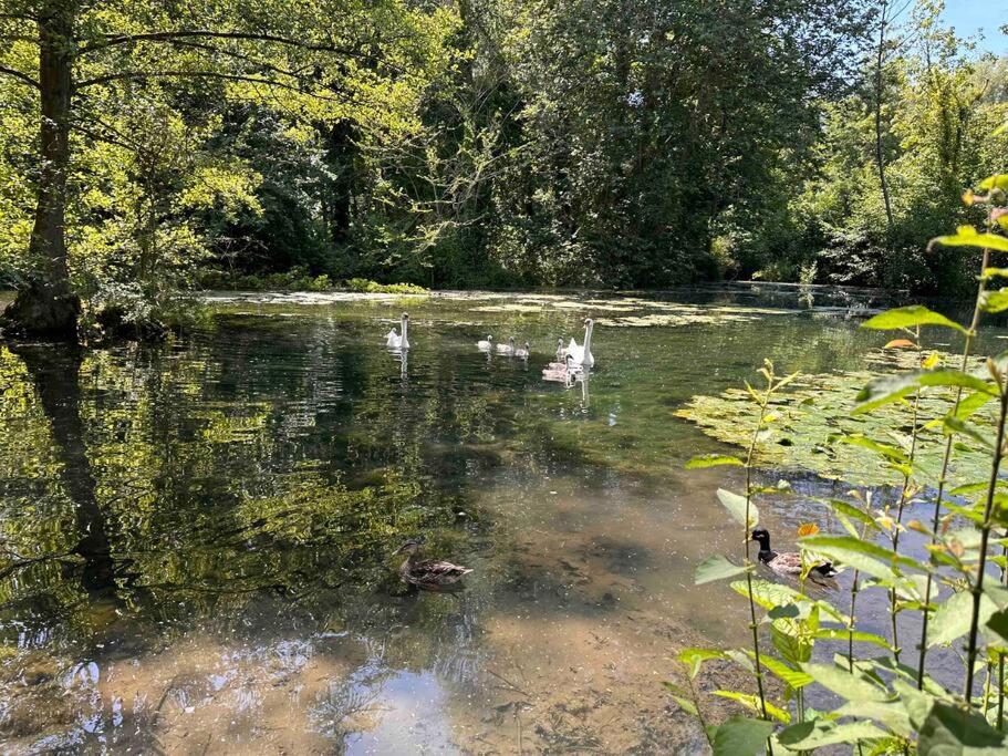 L'Impasse - Au Bord De L'Eau Villa Épagne-Épagnette Dış mekan fotoğraf